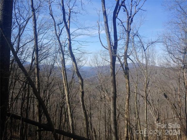 38 Barn Cove Road, Clyde, NC 28721