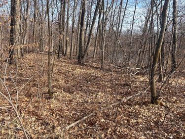 xxx Norway Trl, Cushing, MN 56443