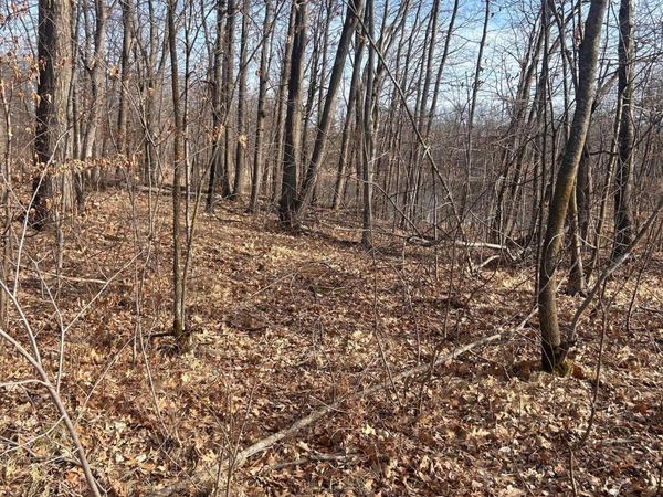 xxx Norway Trl, Cushing, MN 56443