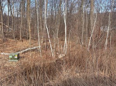 xxx Lake Camile Rd, Cushing, MN 56443