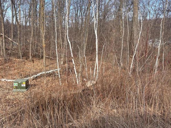 xxx Lake Camile Rd, Cushing, MN 56443