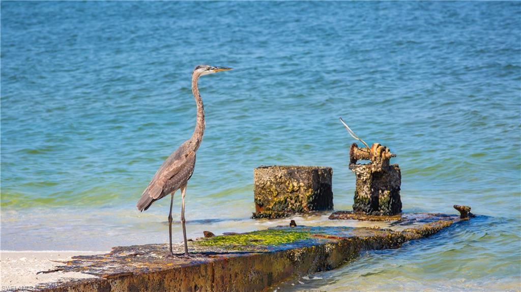 210 Mourning Dove Dr, Upper Captiva, FL 33924 Photo