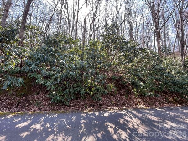 111 Deer Run Lane, Asheville, NC 28805
