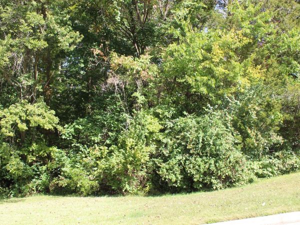 337 DAVID STREET, Jefferson City, MO 65101