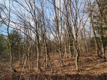 00 Jess Drive, Redfield, NY 13437