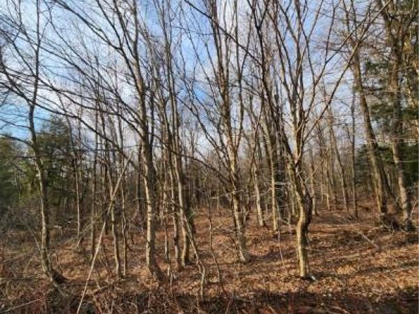 00 Jess Drive, Redfield, NY 13437