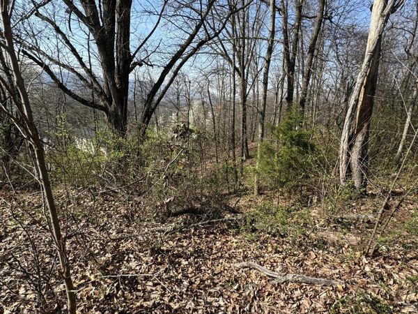 2137 Hiara Drive, Kingsport, TN 37660