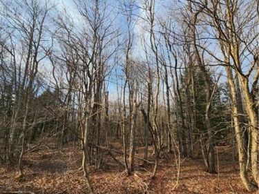 000 Jess Drive, Redfield, NY 13437