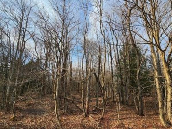 000 Jess Drive, Redfield, NY 13437