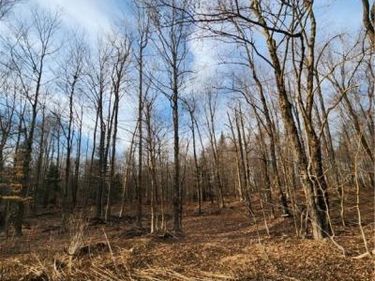 0000 Jess Drive, Redfield, NY 13437