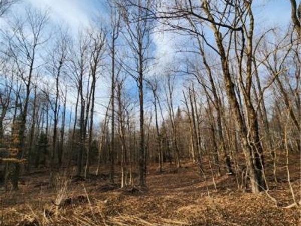 0000 Jess Drive, Redfield, NY 13437