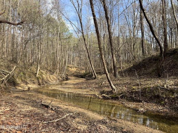 W Ruffin Road, Enid, MS 38927