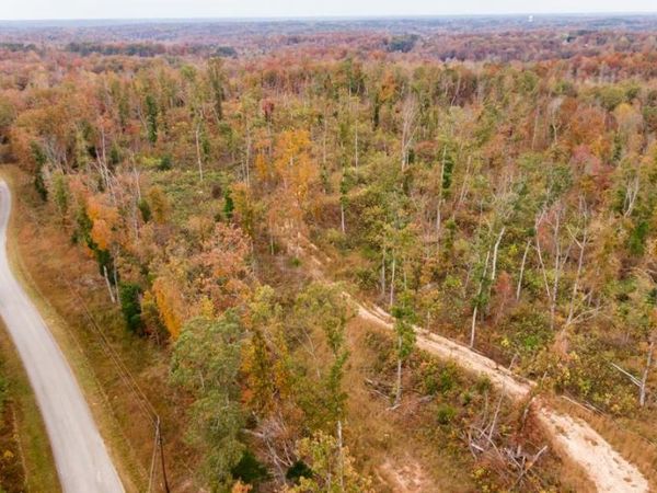 xxxx MOUSE TAIL Road, Parsons, TN 38363