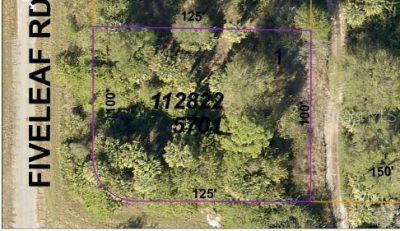Fiveleaf Road, North Port, FL 34288 Photo