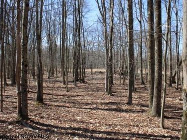 Lot 7 Sand Bank Heights Road, Masontown, WV 26542