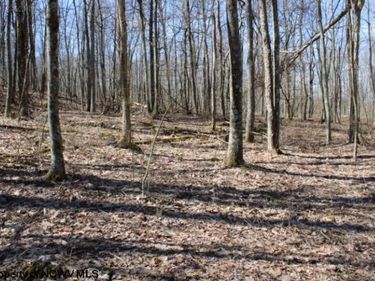 Lot 5 Sand Bank Heights Road, Masontown, WV 26542