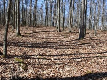 Lot 4 Sand Bank Heights Road, Masontown, WV 26542