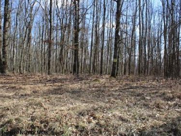 Lot 3 Sand Bank Heights Road, Masontown, WV 26542