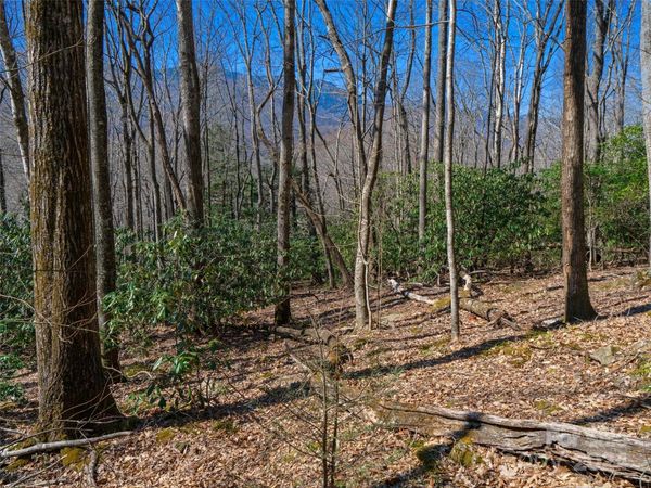 000 Big Ridge Road, Burnsville, NC 28714