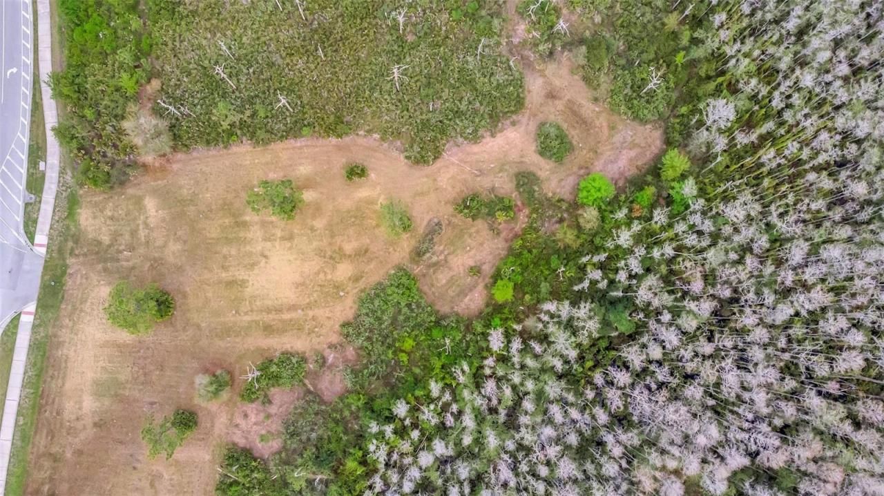 00 Corporate Campus Way, Saint Cloud, FL 34772 Photo