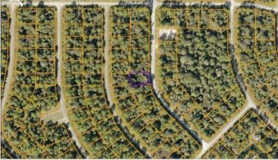 Button Street, North Port, FL 34288 Photo