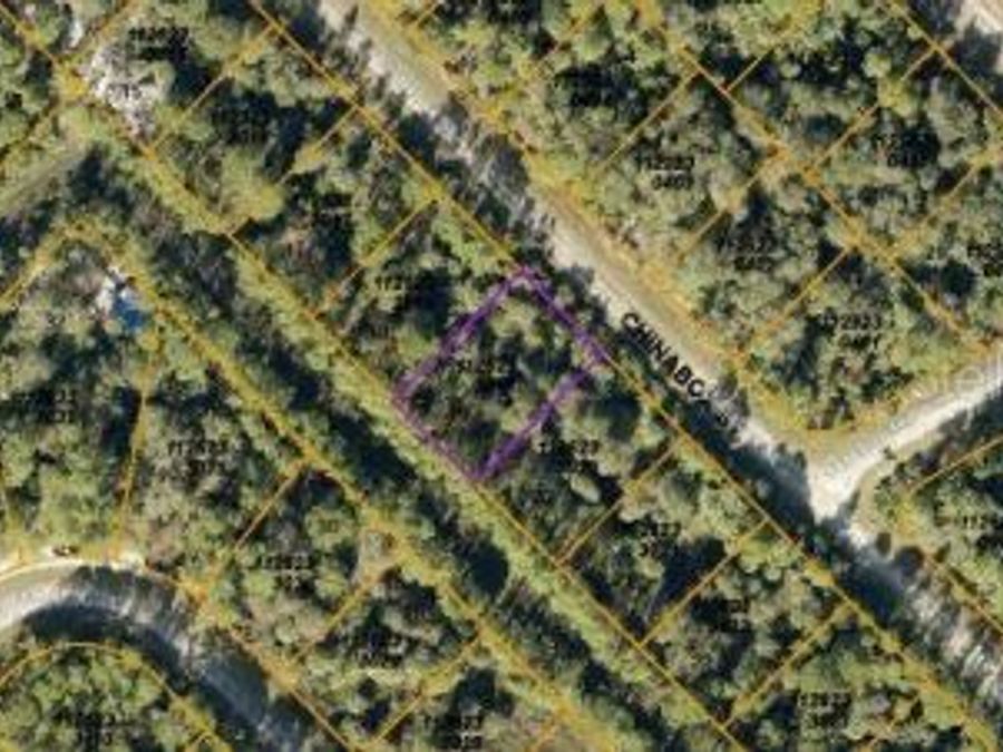 Property Image 5