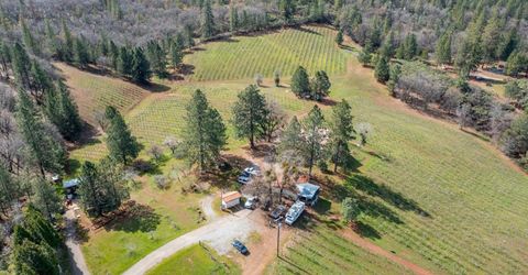 4771 Greenhills Rd, Placerville, CA 95667 Photo