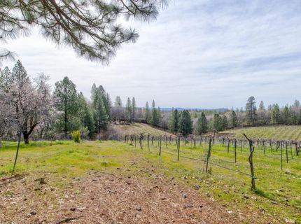 4771 Greenhills Rd, Placerville, CA 95667 Photo