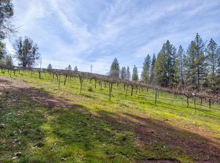 4771 Greenhills Rd, Placerville, CA 95667 Photo