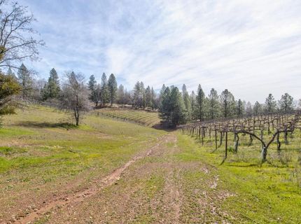 4771 Greenhills Rd, Placerville, CA 95667 Photo