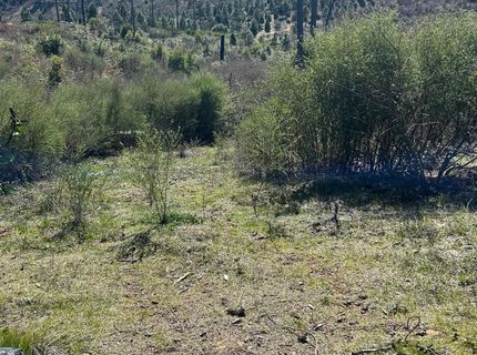 1234 Hog Ranch Rd, Oroville, CA 95969 Photo