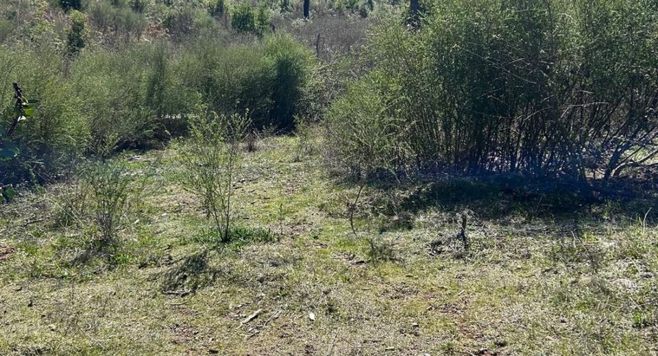 1234 Hog Ranch Rd, Oroville, CA 95969 Photo