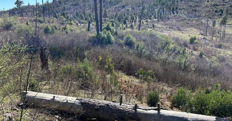 1234 Hog Ranch Rd, Oroville, CA 95969 Photo