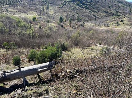 1234 Hog Ranch Rd, Oroville, CA 95969 Photo