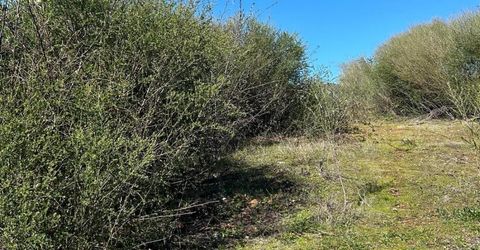 1234 Hog Ranch Rd, Oroville, CA 95969 Photo