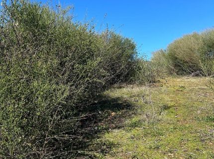 1234 Hog Ranch Rd, Oroville, CA 95969 Photo