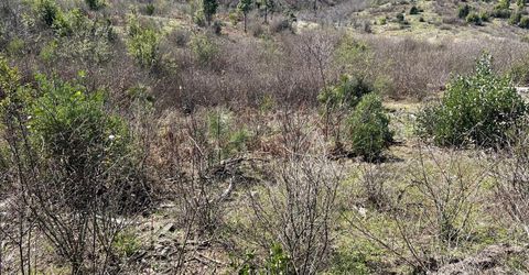 1234 Hog Ranch Rd, Oroville, CA 95969 Photo