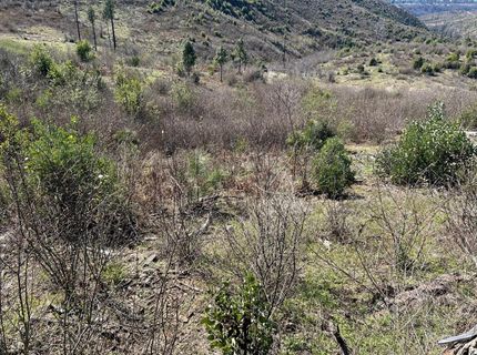 1234 Hog Ranch Rd, Oroville, CA 95969 Photo