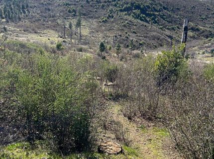 1234 Hog Ranch Rd, Oroville, CA 95969 Photo