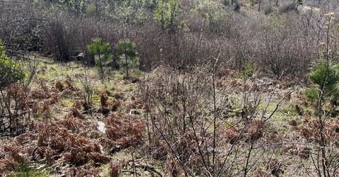 1234 Hog Ranch Rd, Oroville, CA 95969 Photo