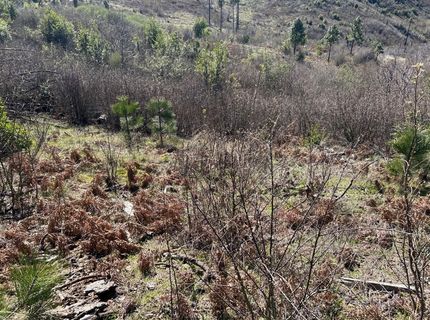 1234 Hog Ranch Rd, Oroville, CA 95969 Photo