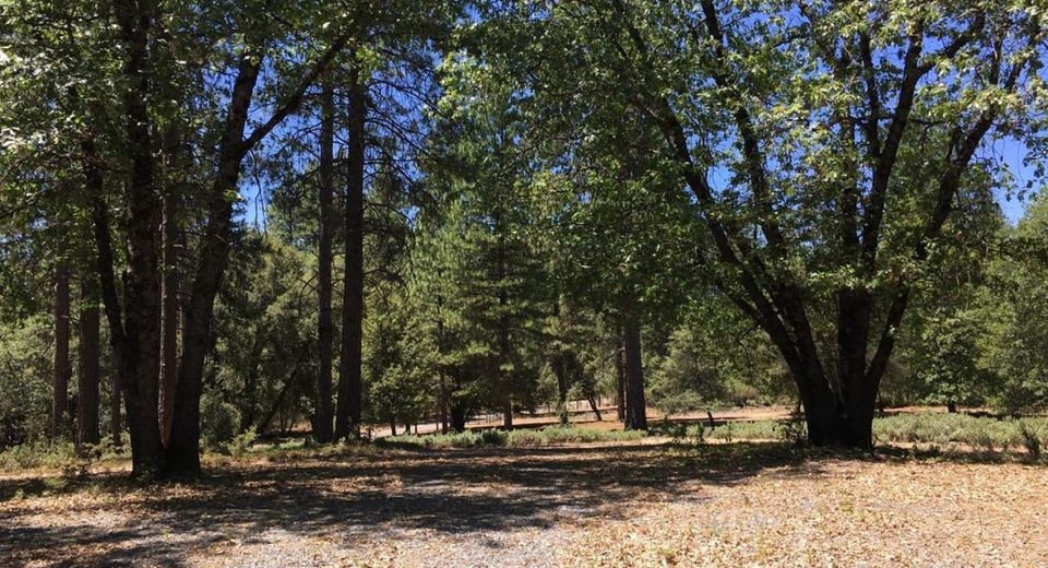 Parcel A Ridge Rd, Rail Road Flat, CA 95248 Photo