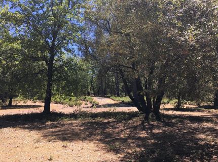 Parcel A Ridge Rd, Rail Road Flat, CA 95248 Photo