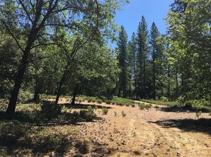 Parcel A Ridge Rd, Rail Road Flat, CA 95248 Photo