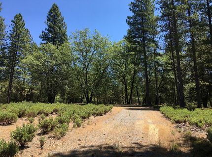 Parcel A Ridge Rd, Rail Road Flat, CA 95248 Photo