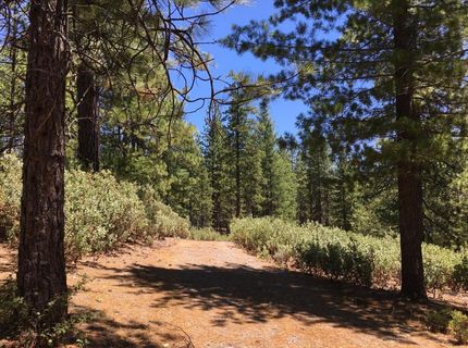 Parcel A Ridge Rd, Rail Road Flat, CA 95248 Photo