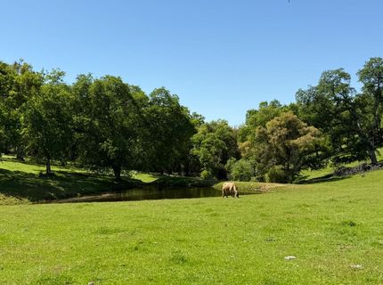Airola Road, Vallecito, CA 95251 Photo