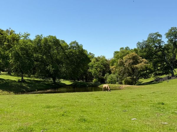 Airola Road, Vallecito, CA 95251