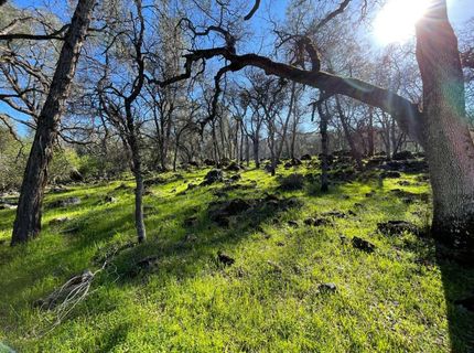 Airola Road, Vallecito, CA 95251 Photo