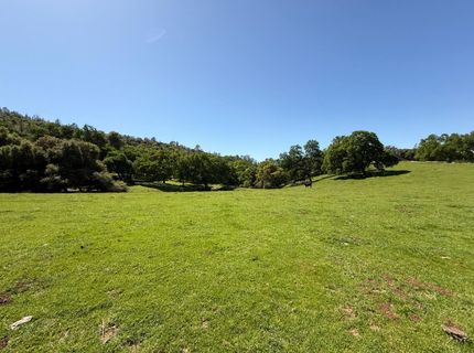 Airola Road, Vallecito, CA 95251 Photo